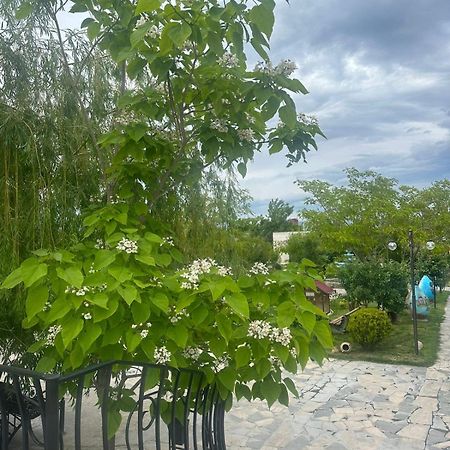 Ralina Restaurant And Hotel Davalinskiy Tsemzavod Dış mekan fotoğraf