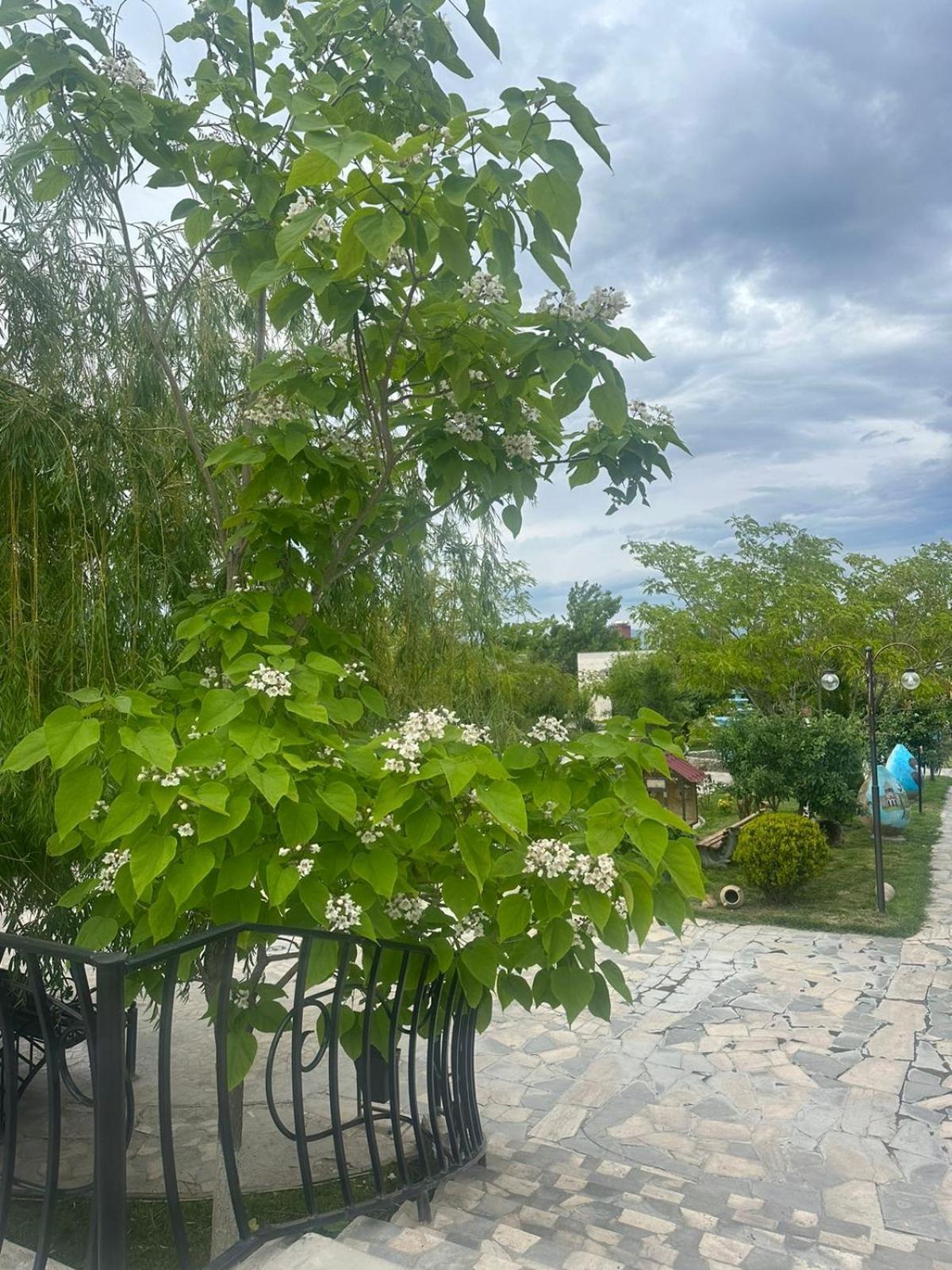 Ralina Restaurant And Hotel Davalinskiy Tsemzavod Dış mekan fotoğraf