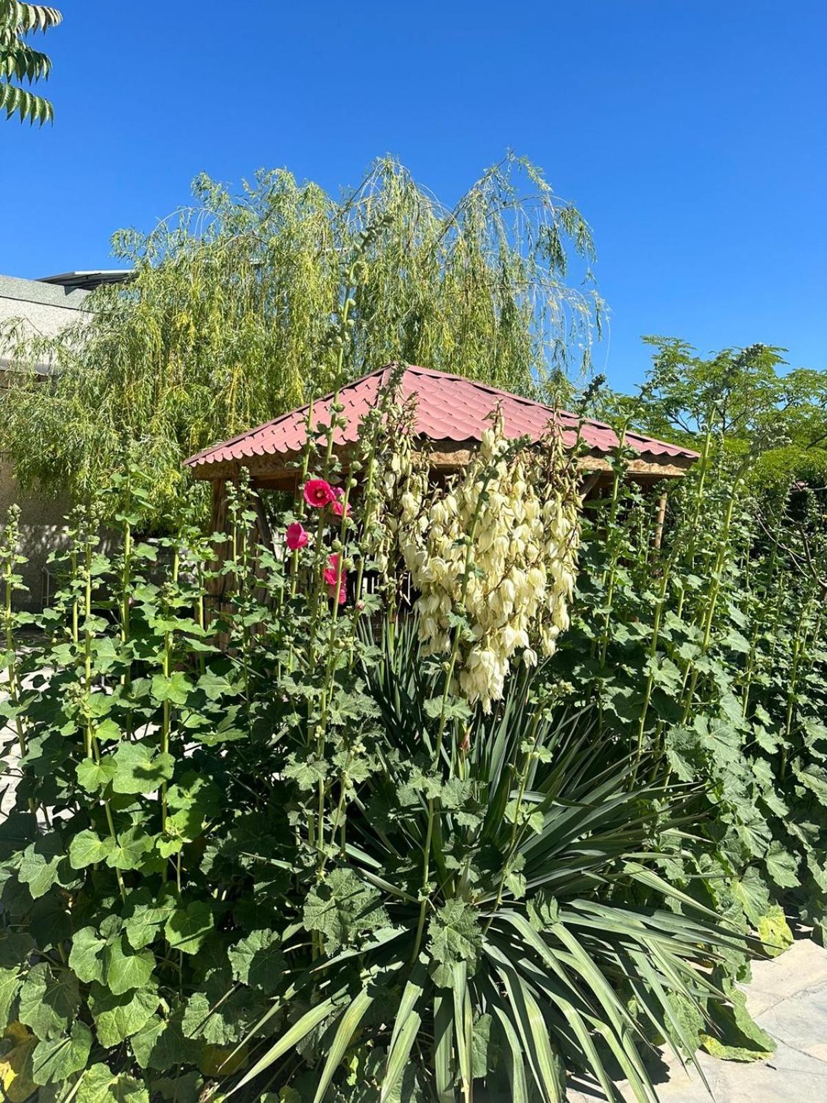 Ralina Restaurant And Hotel Davalinskiy Tsemzavod Dış mekan fotoğraf
